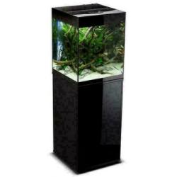 mooie Nano aquaria, groote keus, kleine nanoprijzen
