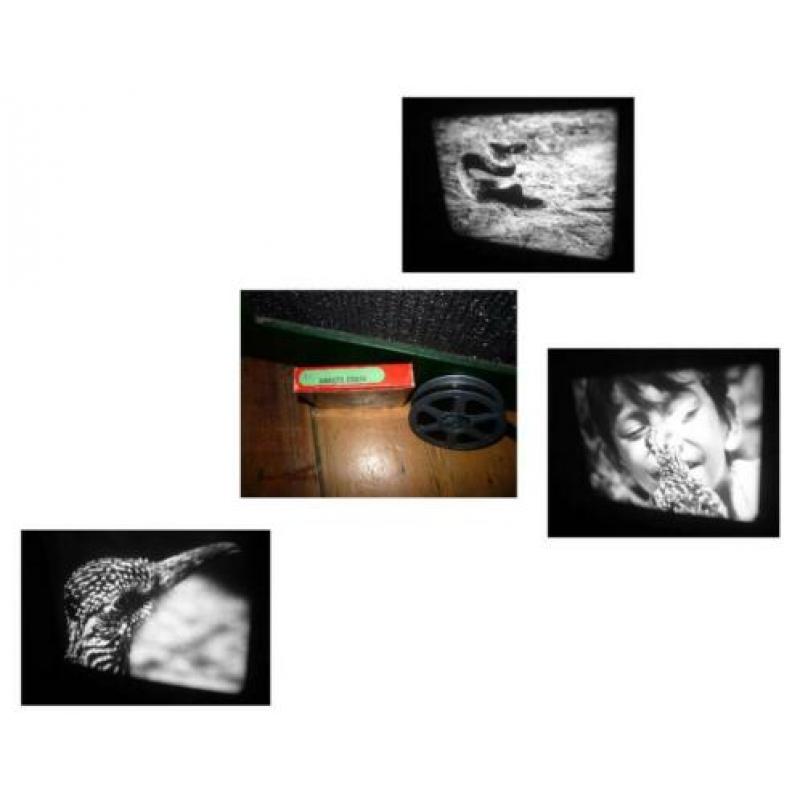 x 16mm film Cobra in Gevecht - silent zw/w - 30mtr