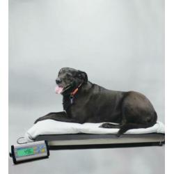 Plateau/vloer/dierenweegschalen. Adam CPW-L 35kg t/m 300kg.