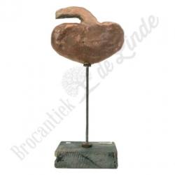 Unieke oude vintage Anatomisch model nier No.1