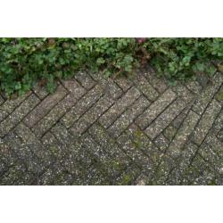 gratis op te halen klinkers waalformaat