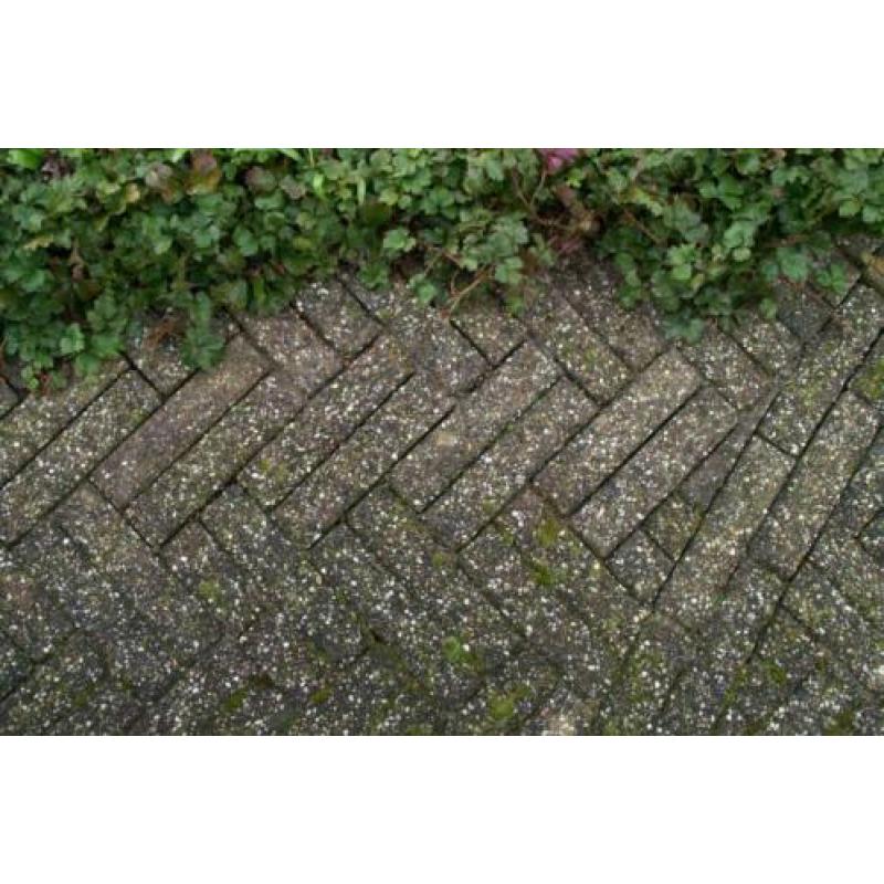 gratis op te halen klinkers waalformaat