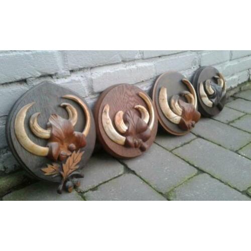 Schitterende 4 stuks set zwijnen - keiler tanden handbewerkt