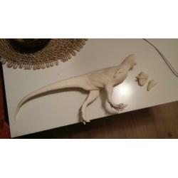 Resin kit Carnotaurus