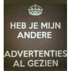 Nieuwe neuspiercings met gekleurd steentje