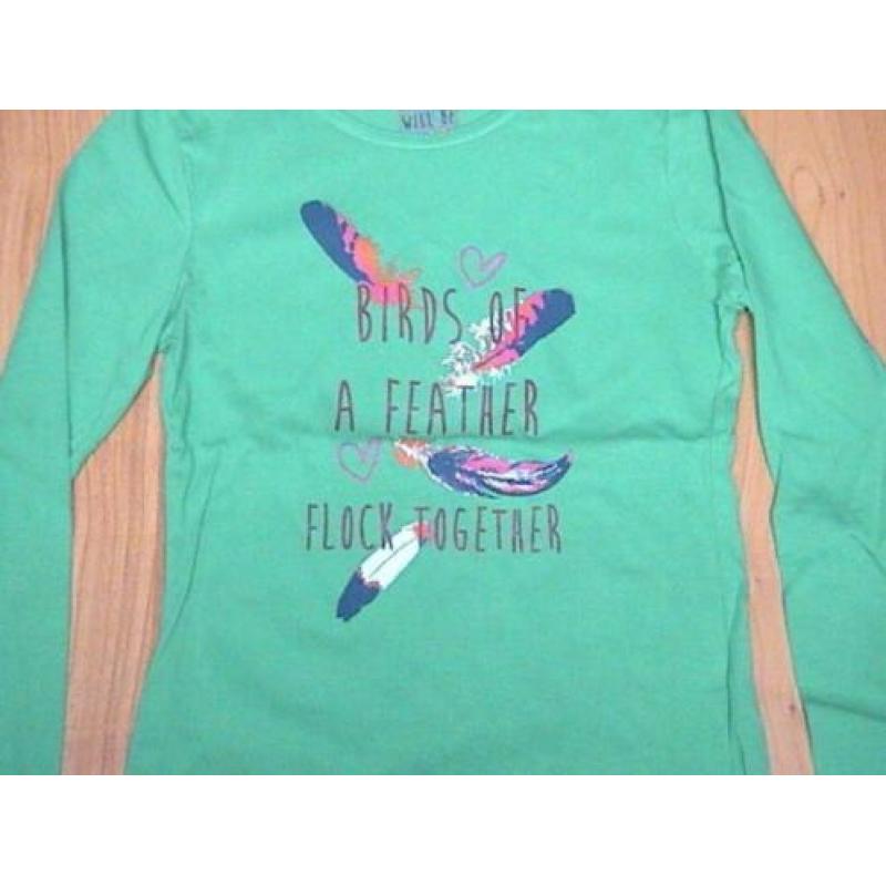 ZGAN groen shirt met opdruk van tekst, hartjes en veren 152