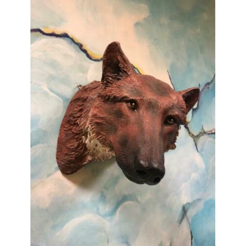 Grote Wolvenkop vossenkop kop voor aan de muur. Decoratie