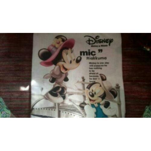 Disney kussenslopen Mickey & Minnie NIEUW