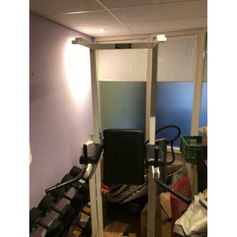Technogym Dip/ pull up station