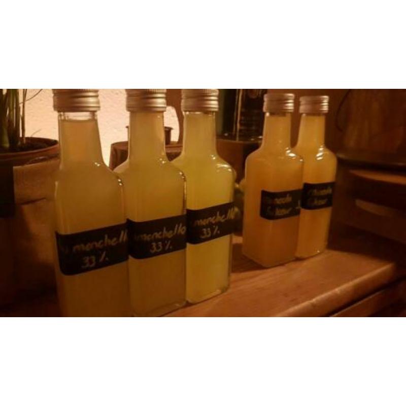 home made limoncello en mineola likeur33% flesjes van 100ml