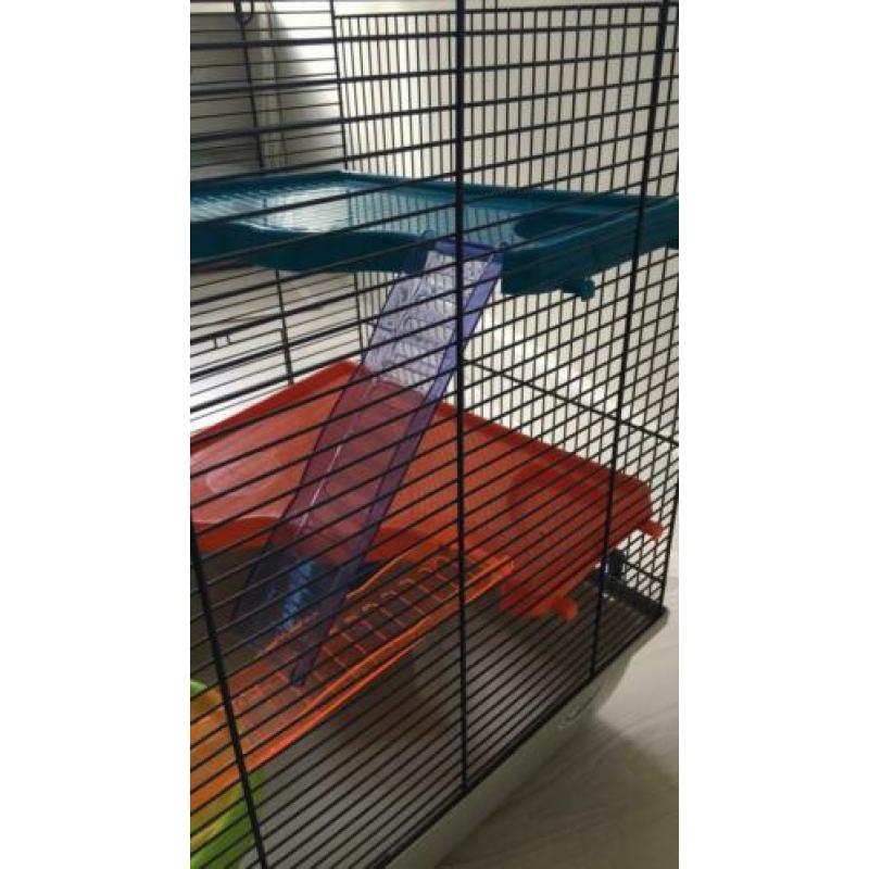 Hamster of muizen kooi