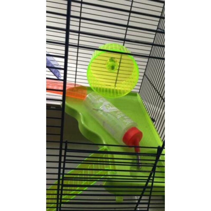 Hamster of muizen kooi