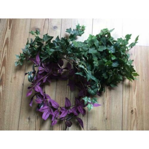 Kunst klimop / nep planten