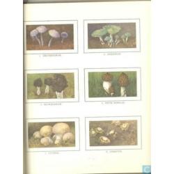 Verkade plaatjesalbum Winter van Jac. P. Thijsse (1975)