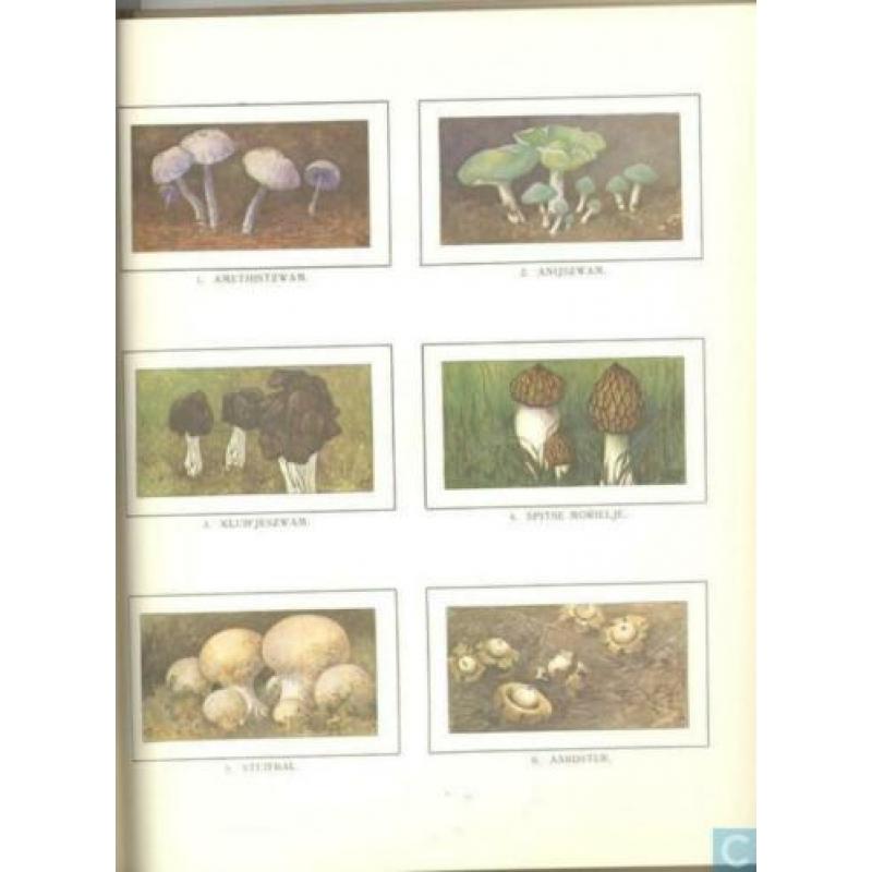 Verkade plaatjesalbum Winter van Jac. P. Thijsse (1975)