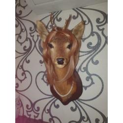 opgezette herten kop, taxidermie, gepimpte bambi