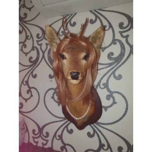 opgezette herten kop, taxidermie, gepimpte bambi