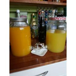 home made limoncello en mineola likeur33% flesjes van 100ml