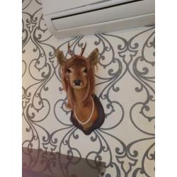 opgezette herten kop, taxidermie, gepimpte bambi