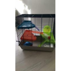 Hamster of muizen kooi