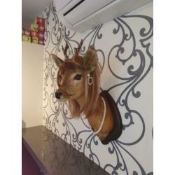 opgezette herten kop, taxidermie, gepimpte bambi