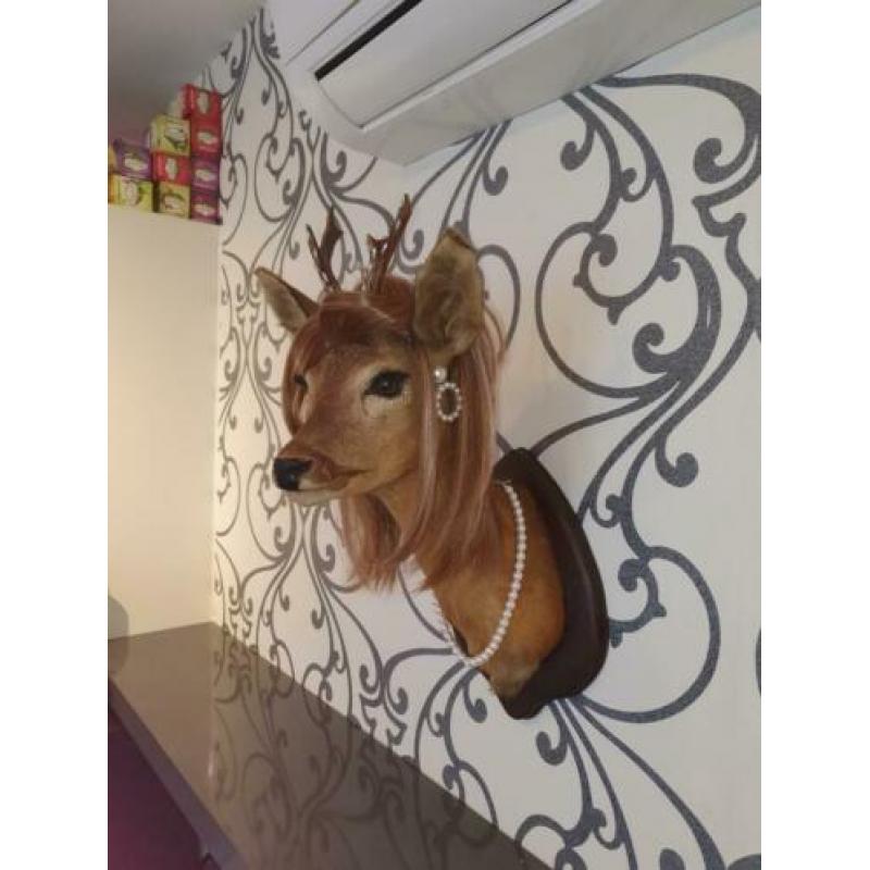 opgezette herten kop, taxidermie, gepimpte bambi