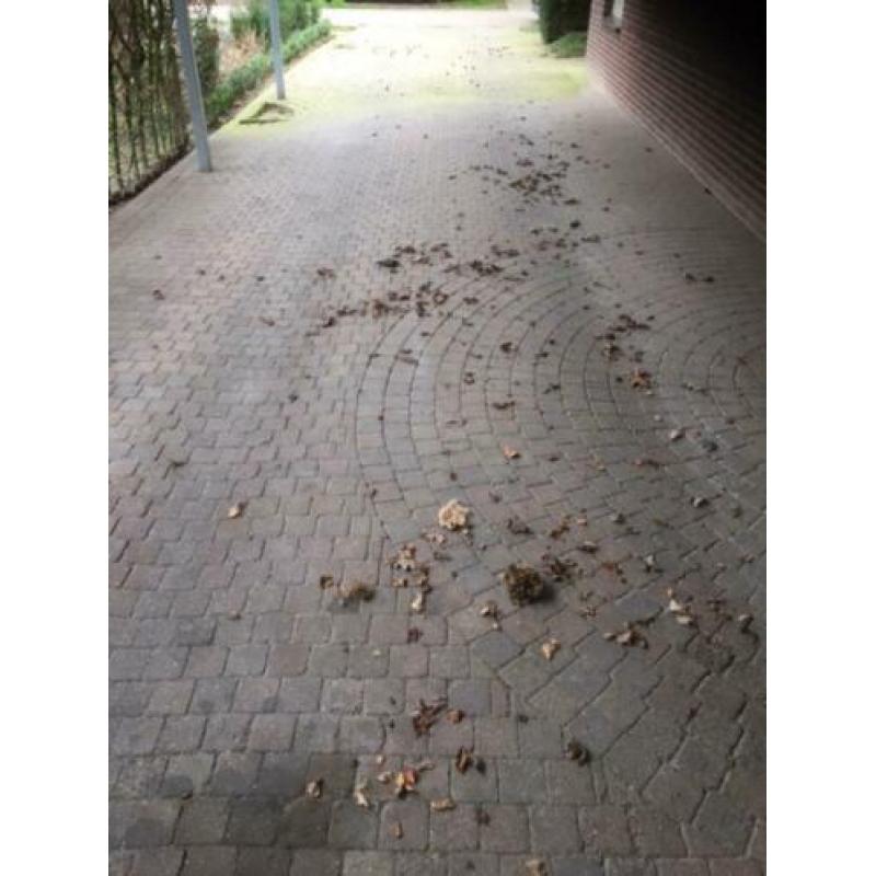 TOPPER: GRATIS: 77 m2 koppelstones (10 cm x 10 cm)