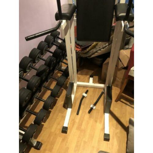 Technogym Dip/ pull up station