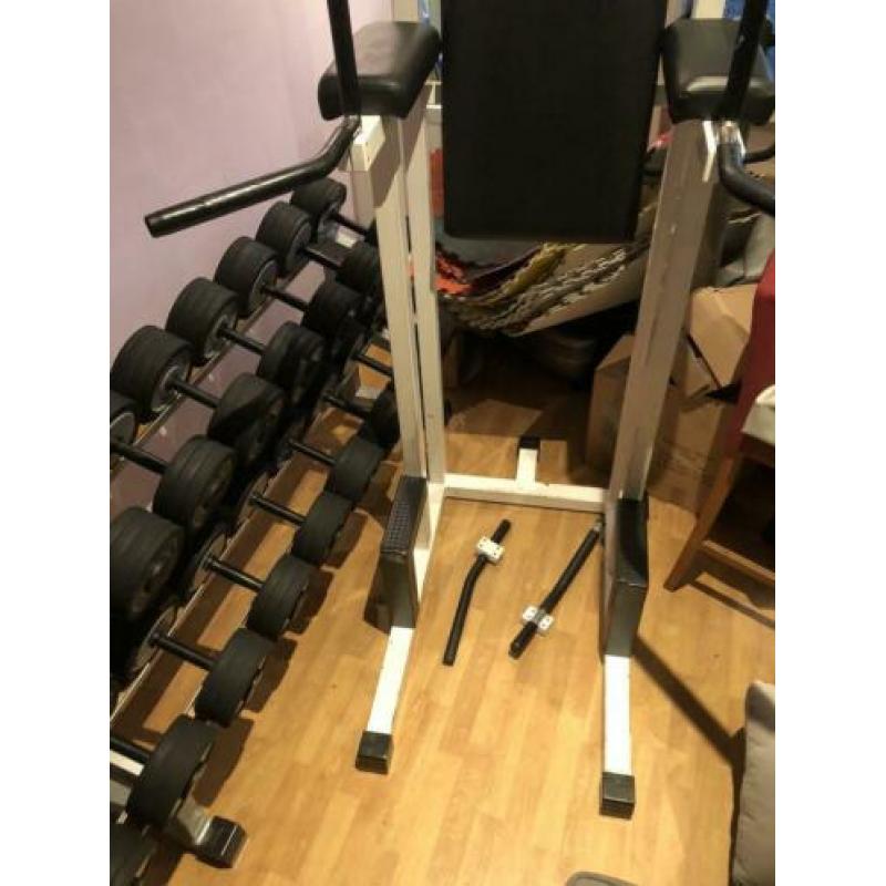 Technogym Dip/ pull up station