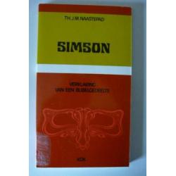 Simson, verklaring van een bijbelgedeelte