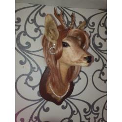 opgezette herten kop, taxidermie, gepimpte bambi
