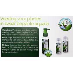 Aquarium plantenvoeding Colombo