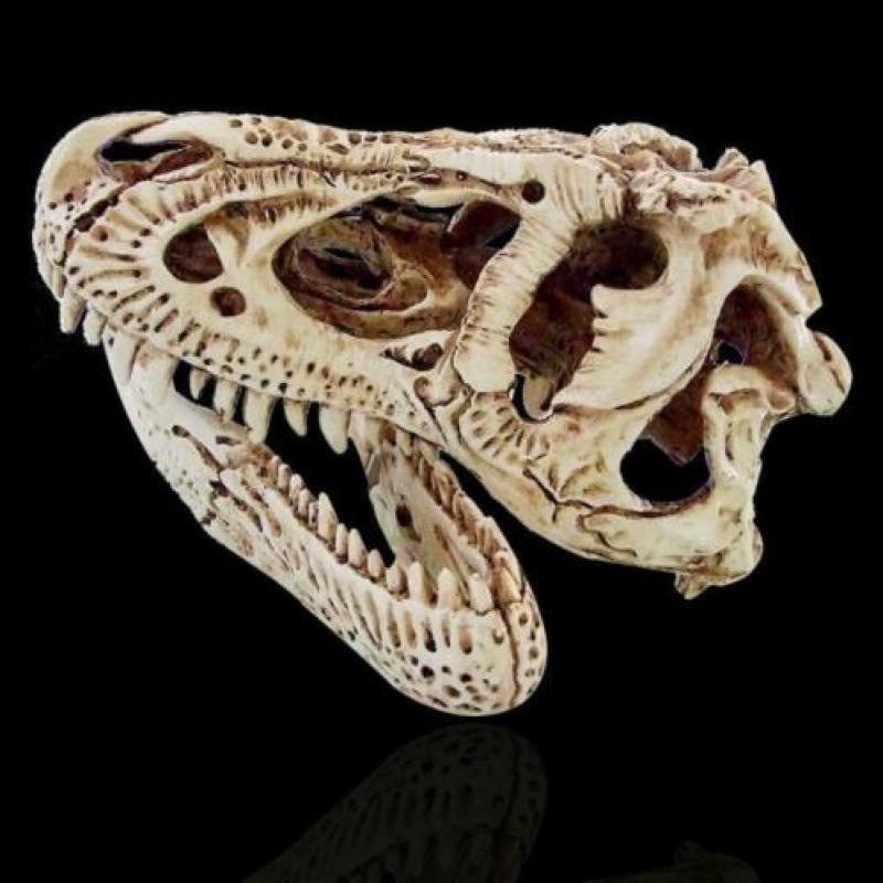 Mooie kast/tafel display deze schedel van een T-Rex