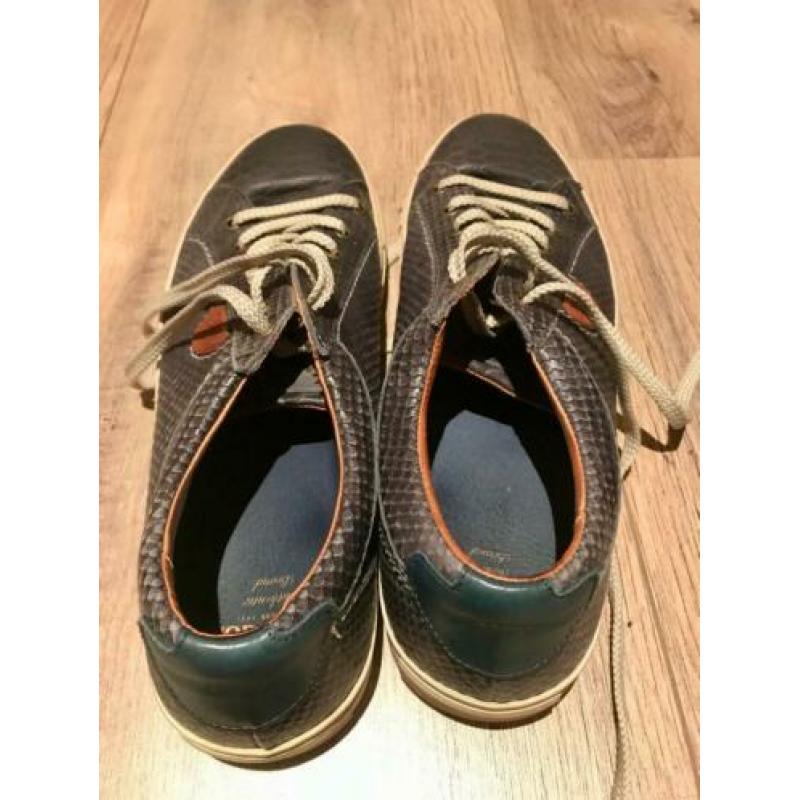 McGregor heren schoenen