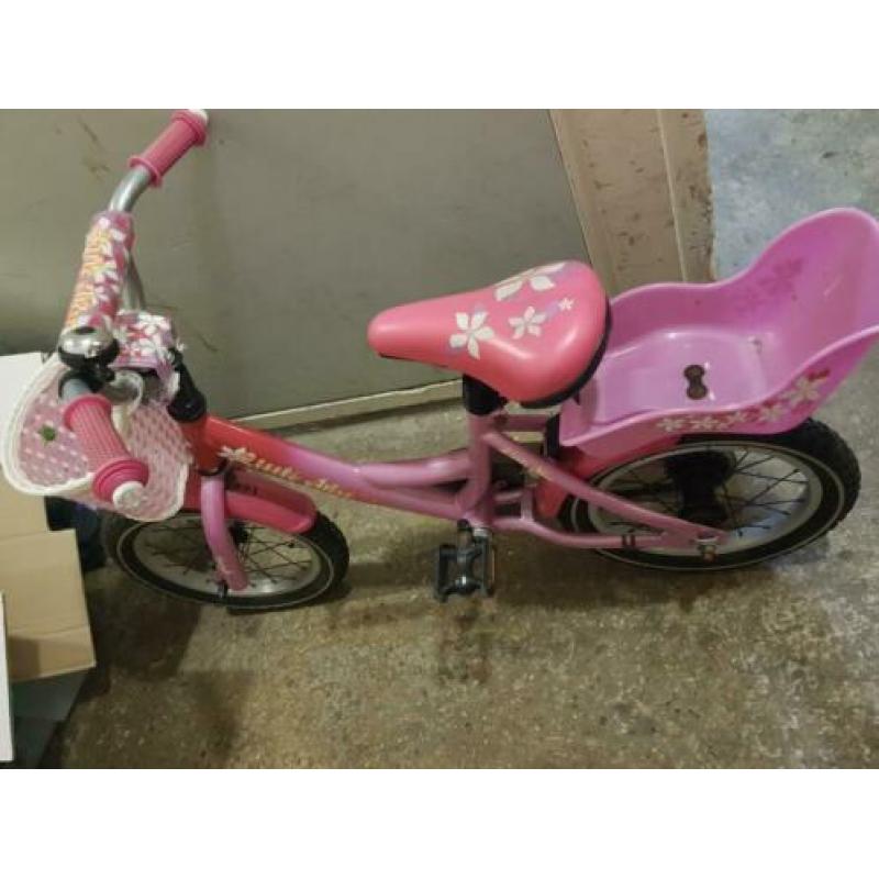 Mooie meisjes fiets