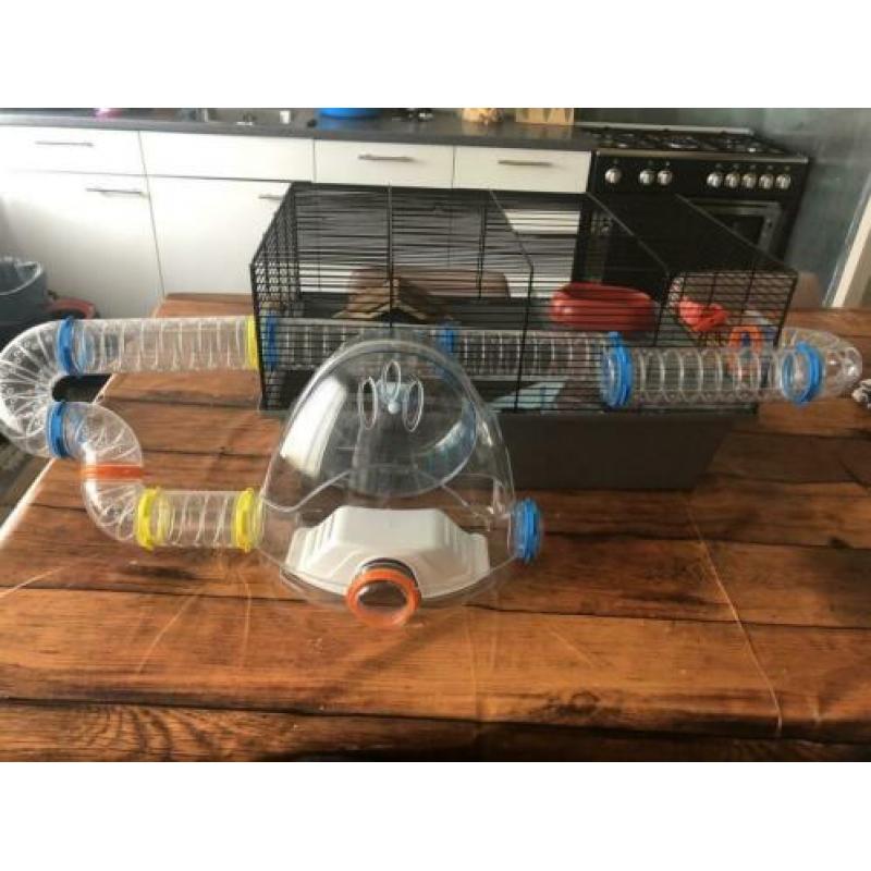 Hamster Kooi met uitbreiding tunnels