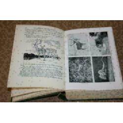 Dikke pil - The British Nature Book - 1931 !!