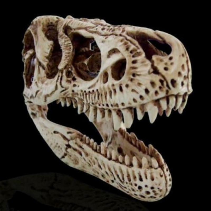 Mooie kast/tafel display deze schedel van een T-Rex