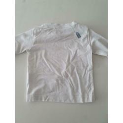 Imps en elfs 68