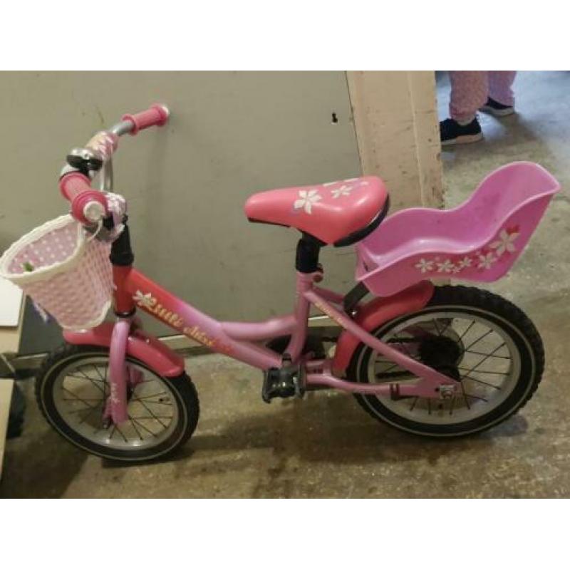 Mooie meisjes fiets