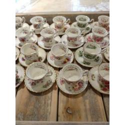 Royal Albert Flower of the Month