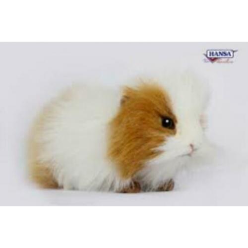 Cavia Knuffel, Pluche cavia's, bruin of zwart met wit