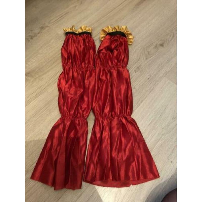 Carnavals kleding