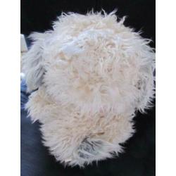 Knuffel hond
