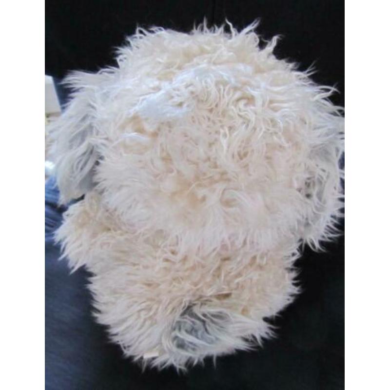 Knuffel hond