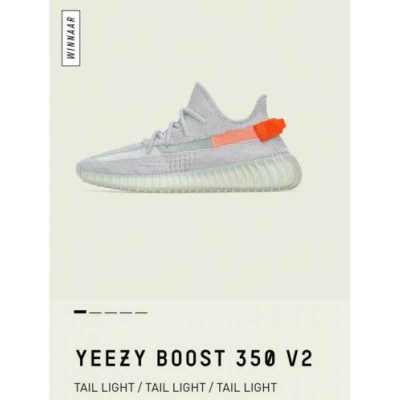 Yeezy Tail Light. Maat: 49 1/3. Size: 14