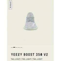 Yeezy Tail Light. Maat: 49 1/3. Size: 14