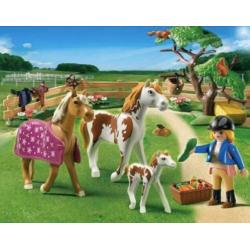 Playmobil 5227 Paddock met paardenfamilie COMPLEET