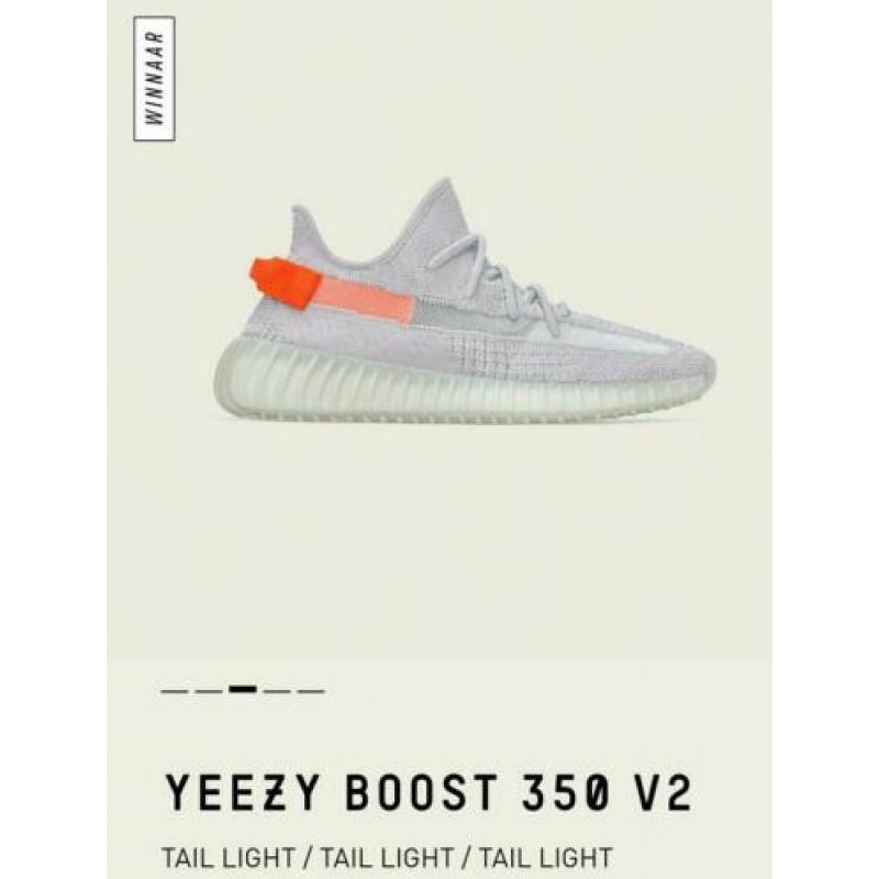 Yeezy Tail Light. Maat: 49 1/3. Size: 14