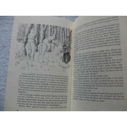 De heremiet - Een prior op nonnenroof - Veenklooster